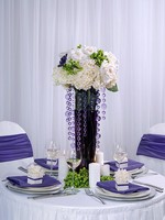 Z�v�sy  krystalick� fialkov�