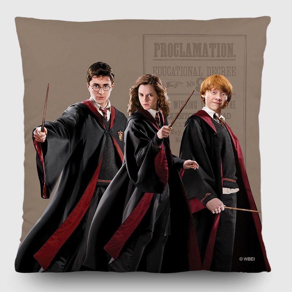 Dekoratívny vankúšik Harry Potter | 40 x 40 cm | CND 3155 - 410