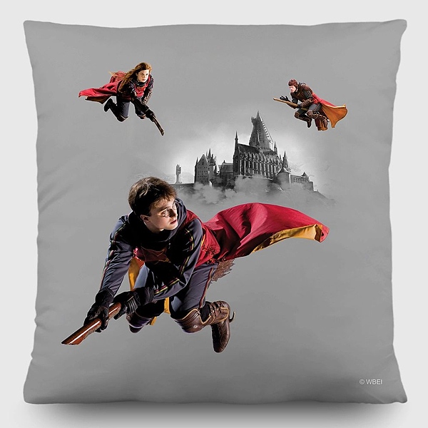Dekoratvny vankik Harry Potter | 40 x 40 cm | CND 3157 - 411