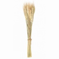 Buket z 24 pšeničných klasov 35 cm