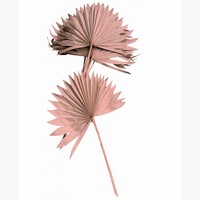 Dekoračné palmové listy púdrovo ružové 55 cm, 10 ks
