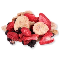 Ovocie mix lyofilizovan 35 g