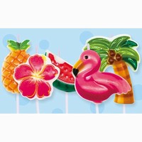 SVKY dortov 5ks Flamingo&tropical