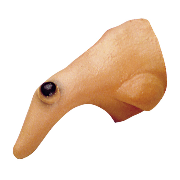 Čarodejnícky nos