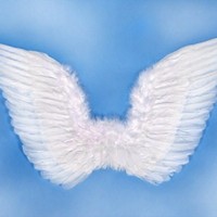 Křídla andělská střední
