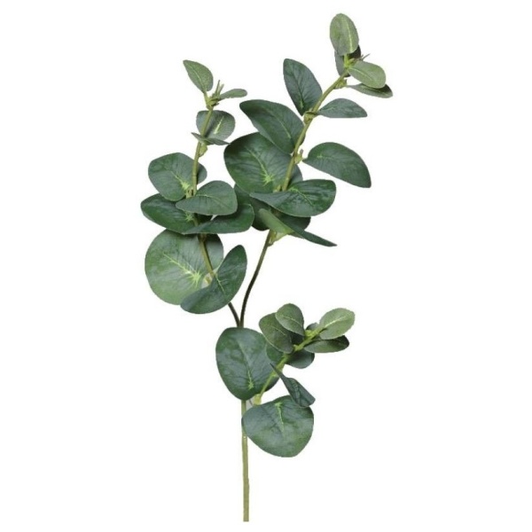 E-shop Eucalyptus vetvička 64 cm, 1 ks