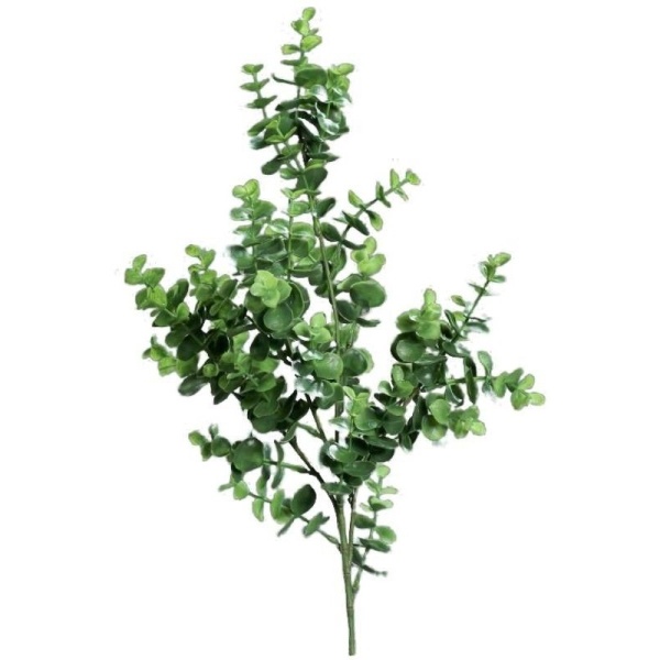 E-shop Eukalyptus vetvička 70 cm, 1 ks