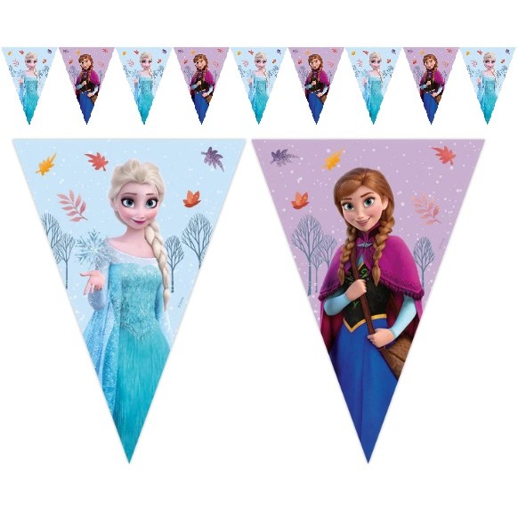 Veniec z vlajok Frozen