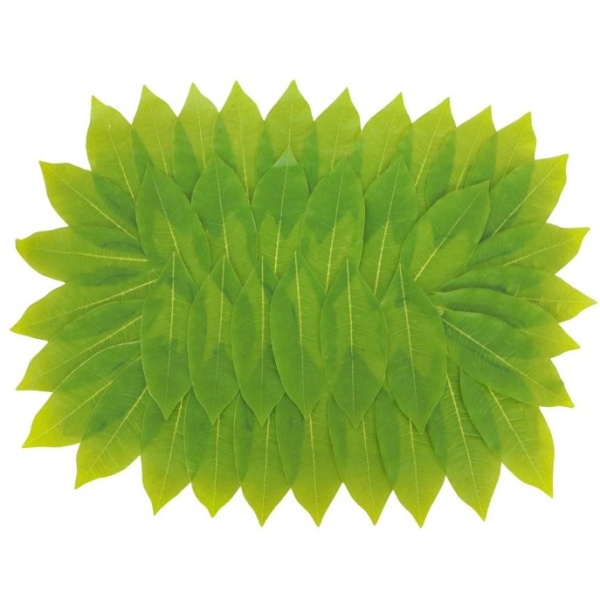 Podložka na stôl Listy 60 x 45 cm