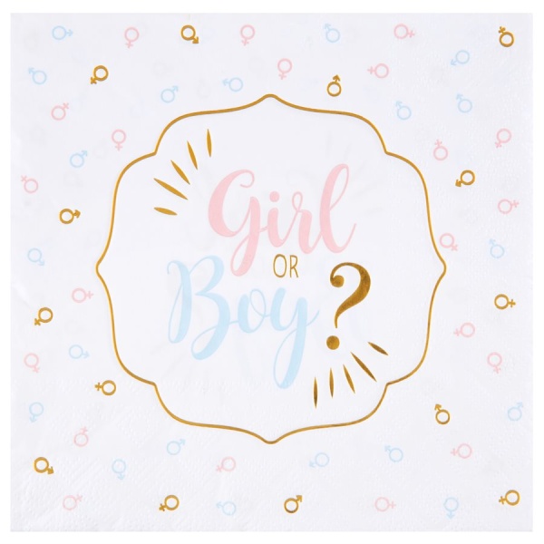 Servítky papierové Girl or Boy 33 x 33 cm 20 ks