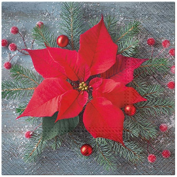 Ubrousky papírové Vánoční hvězda 20 ks