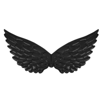 And�lsk� k��dla �ern� 44x22 cm