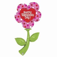 BALNIK fliov Kytika HVD