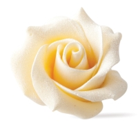 Čokoládové ruže na tortu perleťovo biele 45x30 mm, 15 ks