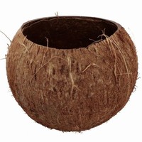 Dekorácia Kokosový orech 13x10 cm