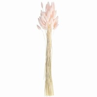 Dekoračná tráva Zajačie chvostíky svetlo ružové 65 cm, 20 ks