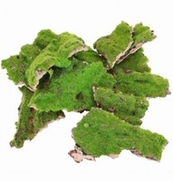 Dekoratvna kra s machom 100 g
