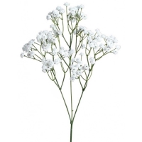 Dekorcia Gypsophila 67 cm, 1 ks