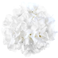 Dekorcia umel kvetina Hortenzia biela 20 cm