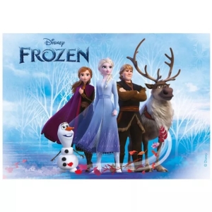 Fondnov list na dort Frozen 14,8 x 21 cm