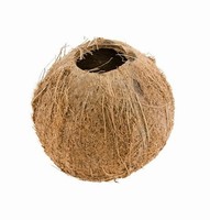 Kokosový orech dekoračný 11 cm