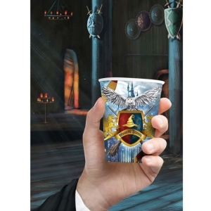 Kelmky paprov Harry Potter 355 ml 6 ks