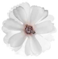 Kvety umelé biele 4,5 cm 12 ks