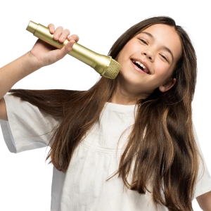 Mikrofon deluxe zlat� 24 cm