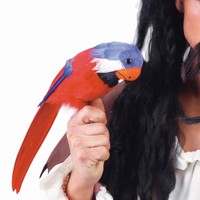 Papagáj farebný pre piráta 40 cm