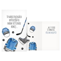 Pn srden K narozeninm s hokejem