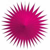 ROZETY dekoran fuchsia 17cm 3ks