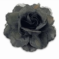 Ruža do vlasov čierna