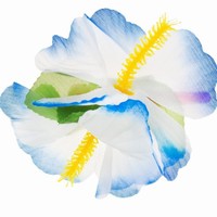 Sponka Havajský kvet, modrý 1 ks