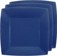 Taniere hranat Royal Blue 23 x 23 cm 10 ks