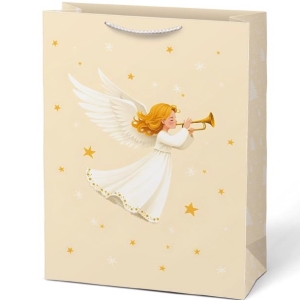 Taka paprov vnon 40x55 cm