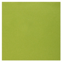 Servtky Rainbow Kiwi 40 x 40 cm 20 ks