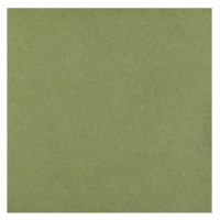Servtky Rainbow olivov 40x40 cm, 25 ks