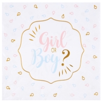 Servítky papierové Girl or Boy 33 x 33 cm 20 ks