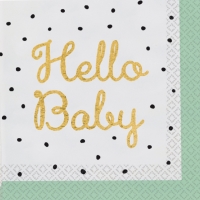 Obrúsky papierové Hello Baby 33 x 33 cm 16 ks