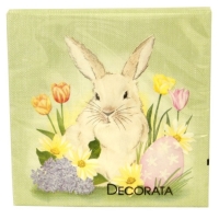 Servtky papierov vekonon Zajaik 33 x 33 cm 20 ks