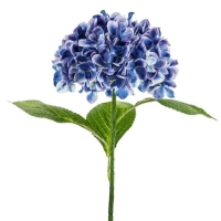 Uml kvtina  Hortenzie Premium, 69 cm, tmav modr