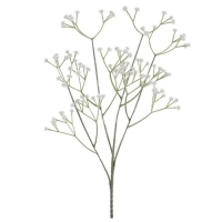 Uml kvtina  nevstin zvoj, 62 cm, bl
