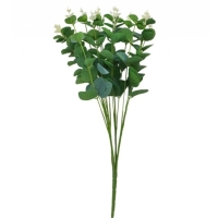 Vetva eukalyptu 16 x 50 cm