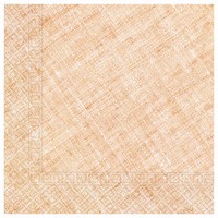 Servtky papierov kompostovaten oranov melr 33 x 33 cm, 20 ks