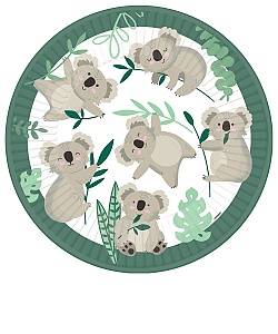 Koala party