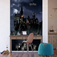 Detsk vliesov fototapeta na stenu Harry Potter | 225 x 270 cm | FTD3P 5175 - 412