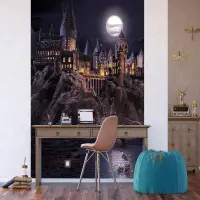 Detsk vliesov fototapeta na stenu Harry Potter | 225 x 270 cm | FTD3P 5177 - 416